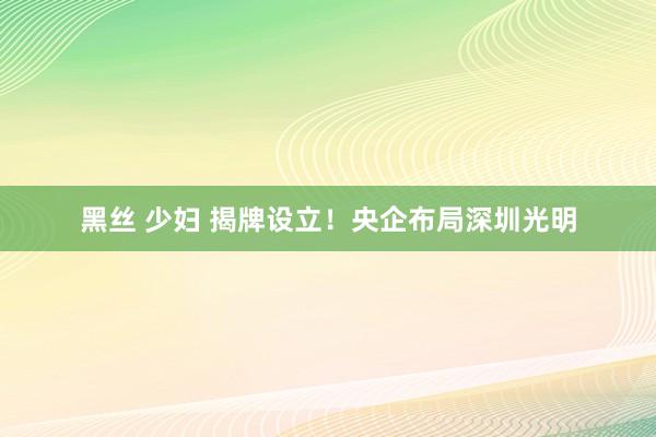 黑丝 少妇 揭牌设立！央企布局深圳光明