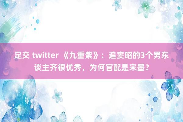 足交 twitter 《九重紫》：追窦昭的3个男东谈主齐很优秀，为何官配是宋墨？