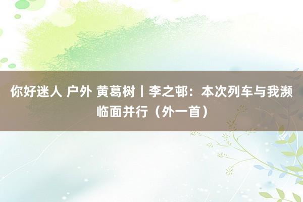 你好迷人 户外 黄葛树丨李之邨：本次列车与我濒临面并行（外一首）