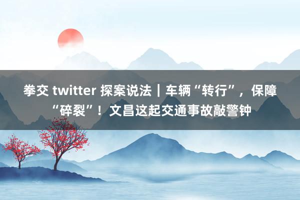 拳交 twitter 探案说法｜车辆“转行”，保障“碎裂”！文昌这起交通事故敲警钟