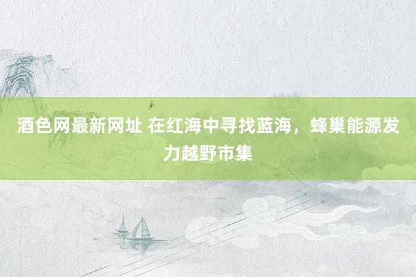 酒色网最新网址 在红海中寻找蓝海，蜂巢能源发力越野市集